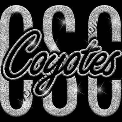 GLT95 SILVER GLITTER Thumbnail