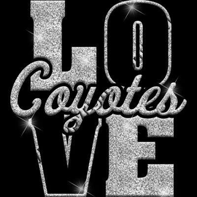 GLT74 SILVER GLITTER Thumbnail